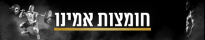 חומצות אמינו