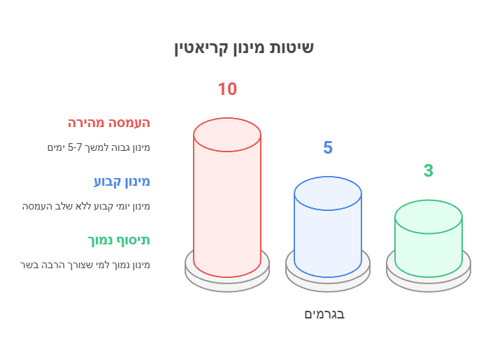 מתי ואיך מומלץ לקחת קריאטין