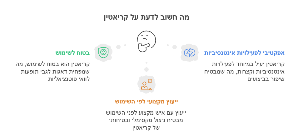 כל מה שחשוב לדעת על קריאטין